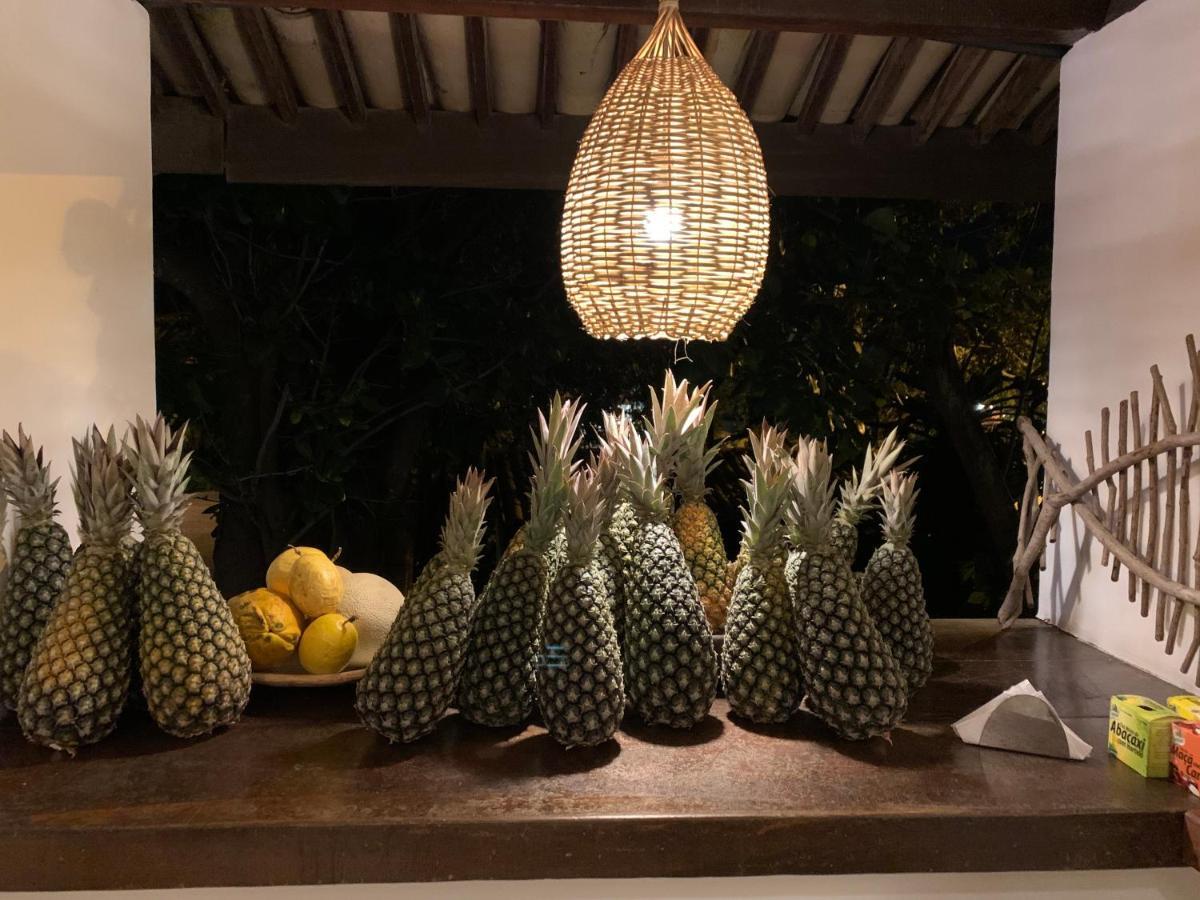 Praia de Pipa 塔尔塔卢加旅馆酒店 外观 照片